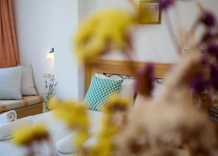 Hotel The Artemis Agia Anna (Naxos)