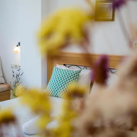 ホテル The Artemis Agia Anna (Naxos)