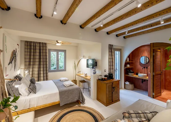 The Artemis Hotel Agia Anna (Naxos)