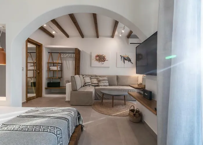 The Artemis Hotell Agia Anna (Naxos)